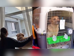 पालतू कुत्ते के लिए बुक की फ्लाइट, सिर्फ इस वजह से खर्च कर डाले 15 लाख रुपये