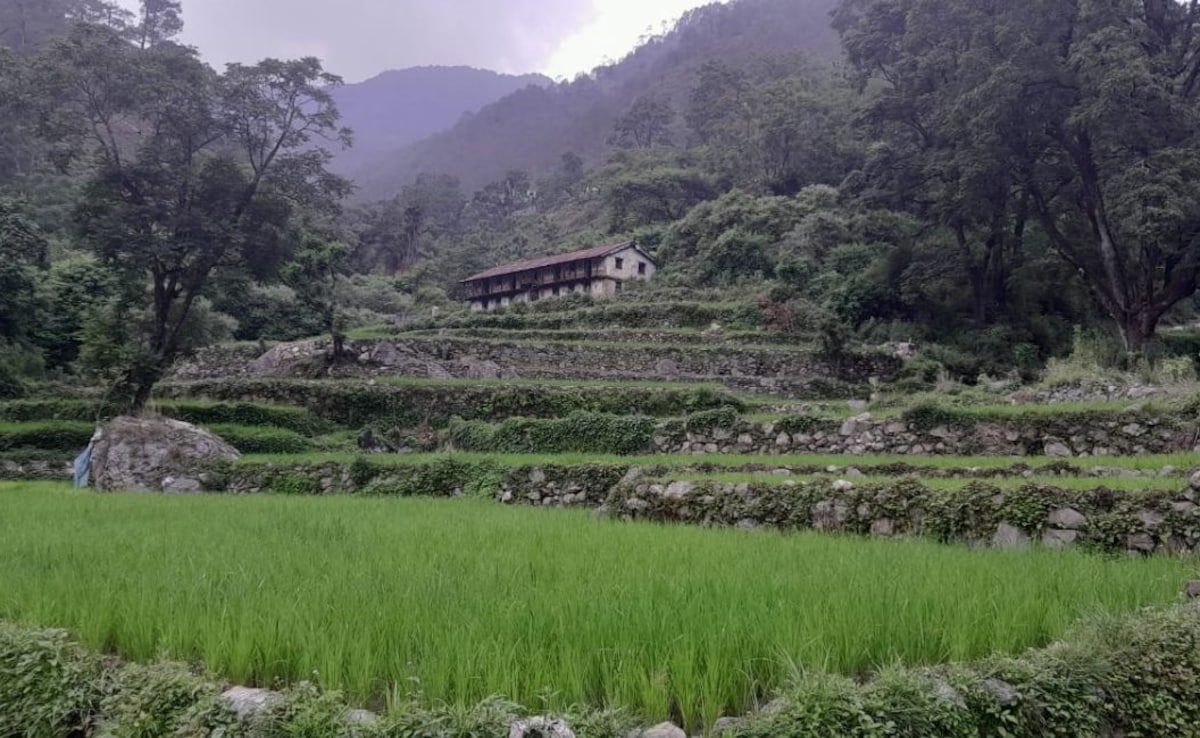 Latest and Breaking News on NDTV