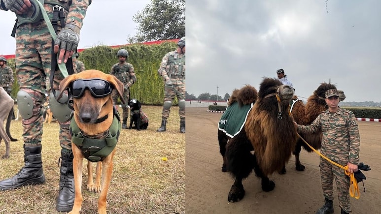 माधव, मुधोल हाउंड, शिकारी पक्षी.. इस बार गणतंत्र दिवस होगा बेहद खास, देखिएगा जरूर