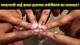 Voter Ink : मतदानाच्या वेळी Index Finger वरच का लावली जाते शाई? मतदाराला दोन हात नसल्यास मतदान करता येतं का?