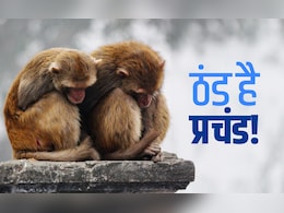 उत्तर भारत में 'कोल्ड टॉर्चर'! शिमला से अधिक ठंडी है दिल्ली, जान लीजिए आज कितना गिरा पारा