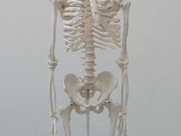 Archaeologists In Bulgaria Discover 6,000-Year-Old Skeleton Of Man Who Survived Lion Attack