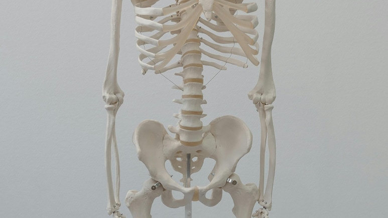 Archaeologists In Bulgaria Discover 6,000-Year-Old Skeleton Of Man Who Survived Lion Attack