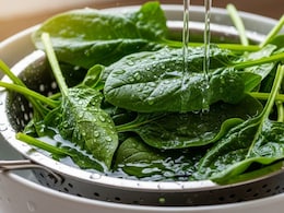 How To Wash Spinach Properly And Blanch It Right - Follow These 7 Steps
