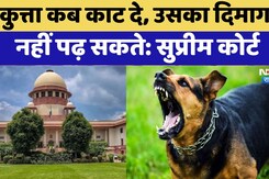 Supreme Court में आज Street Dog मामले की फिर से सुनवाई  | Rajasthan Top News | Dog Bite Cases