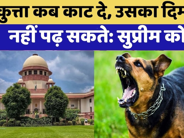 Supreme Court में आज Street Dog मामले की फिर से सुनवाई  | Rajasthan Top News | Dog Bite Cases
