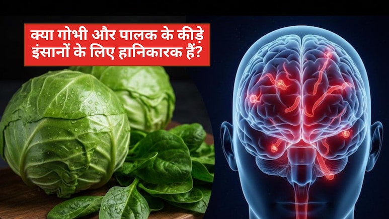पालक और पत्ता गोभी के कीड़े पेट में जाने से क्या होगा?