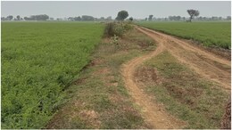 भू-माफियाओं को फायदा पहुंचाने के लिए 'गायब' कर दिया सरकारी रास्ता! कैमरे के आगे तहसीलदार की बोलती बंद