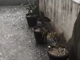 Haryana News: बारिश से पहले ओलावृष्टि का हमला, नारनौल के गांवों में फसल तबाही का खतरा