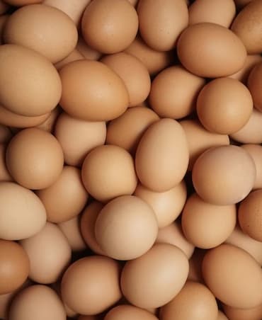 Foods To Eat For Muscle Recovery