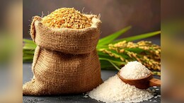 चावल और गेहूं दोनों के हैं अपने-अपने फायदे और नुकसान,  जानें- कौन है सेहत के लिए ज्यादा फायदेमंद और हानिकारक?