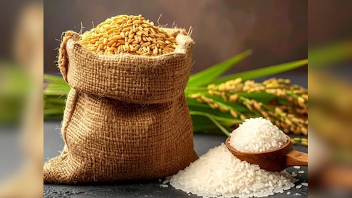 चावल और गेहूं दोनों के हैं अपने-अपने फायदे और नुकसान,  जानें- कौन है सेहत के लिए ज्यादा फायदेमंद और हानिकारक?