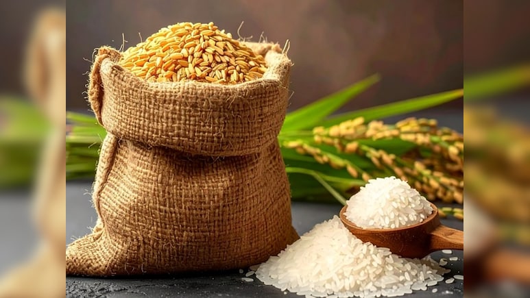 चावल और गेहूं दोनों के हैं अपने-अपने फायदे और नुकसान,  जानें- कौन है सेहत के लिए ज्यादा फायदेमंद और हानिकारक?