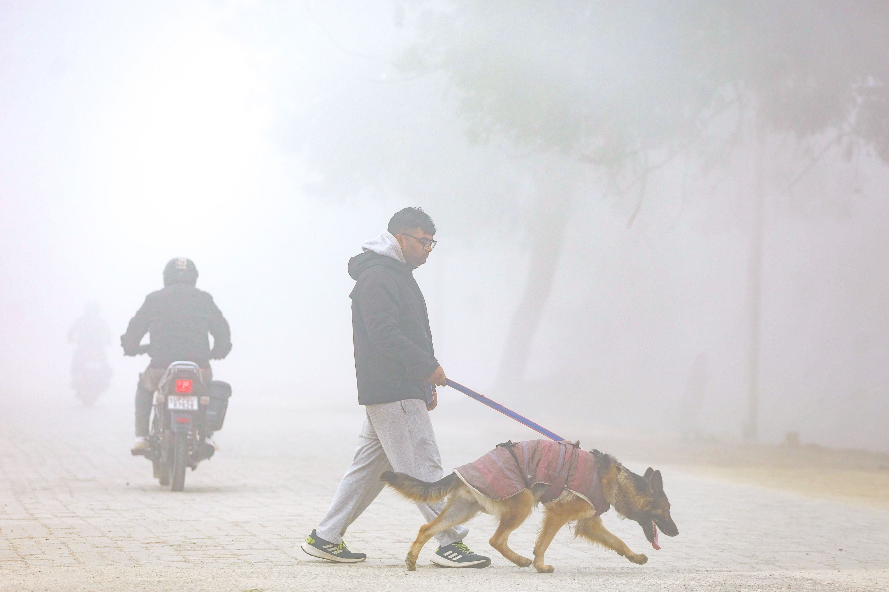 प्रयागराज में भी कोहरा छाया रहा. 