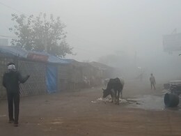 धौलपुर के प्रमुख बाजारों में सन्नाटा, कोहरा और शीतलहर से थामी रफ्तार; किसानों की आमदनी पर मार