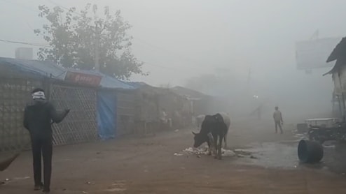 धौलपुर के प्रमुख बाजारों में सन्नाटा, कोहरा और शीतलहर से थामी रफ्तार; किसानों की आमदनी पर मार