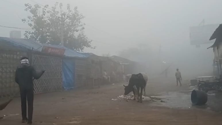 धौलपुर के प्रमुख बाजारों में सन्नाटा, कोहरा और शीतलहर से थामी रफ्तार; किसानों की आमदनी पर मार