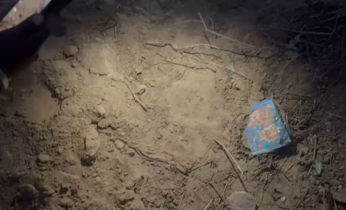 लेपर्ड के पैरों के निशान