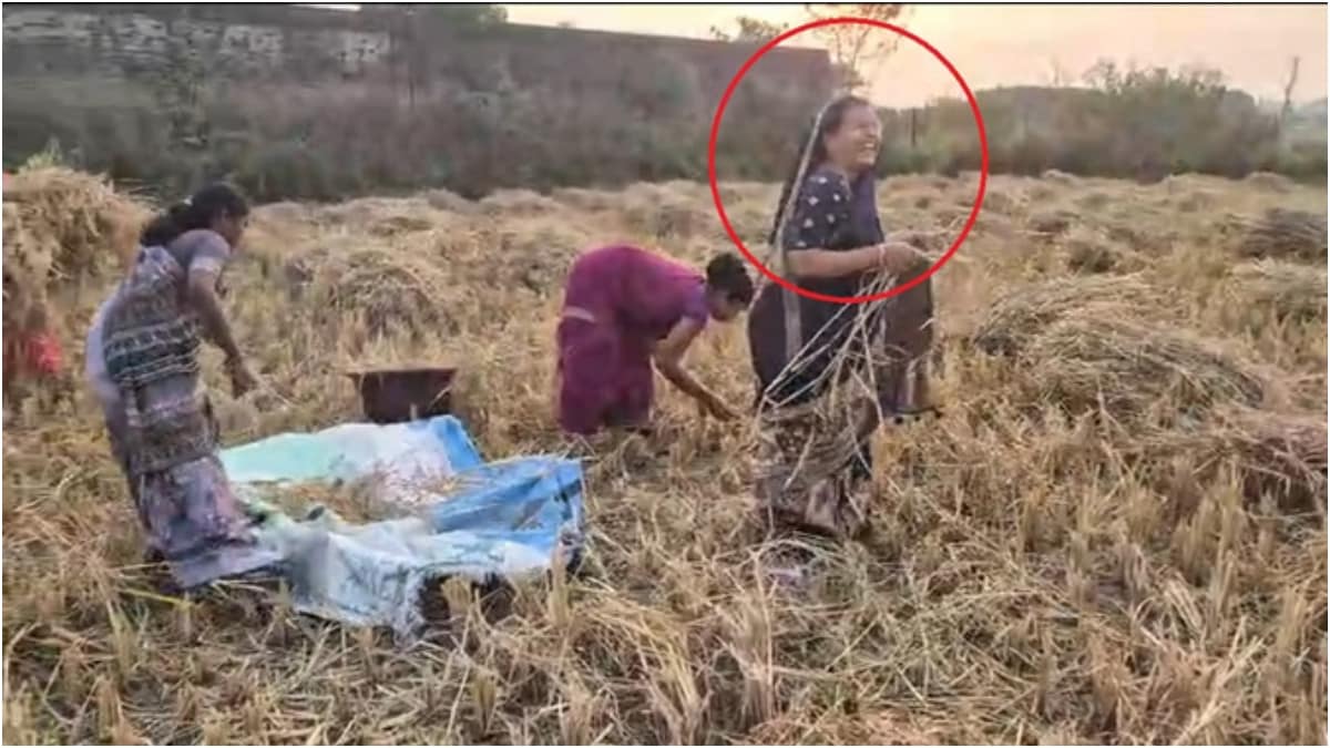 खेत में काम करतीं मंत्री रामविचार नेताम की पत्नी पुष्पा नेताम खेत में काम करतीं मंत्री रामविचार नेताम की पत्नी पुष्पा नेताम