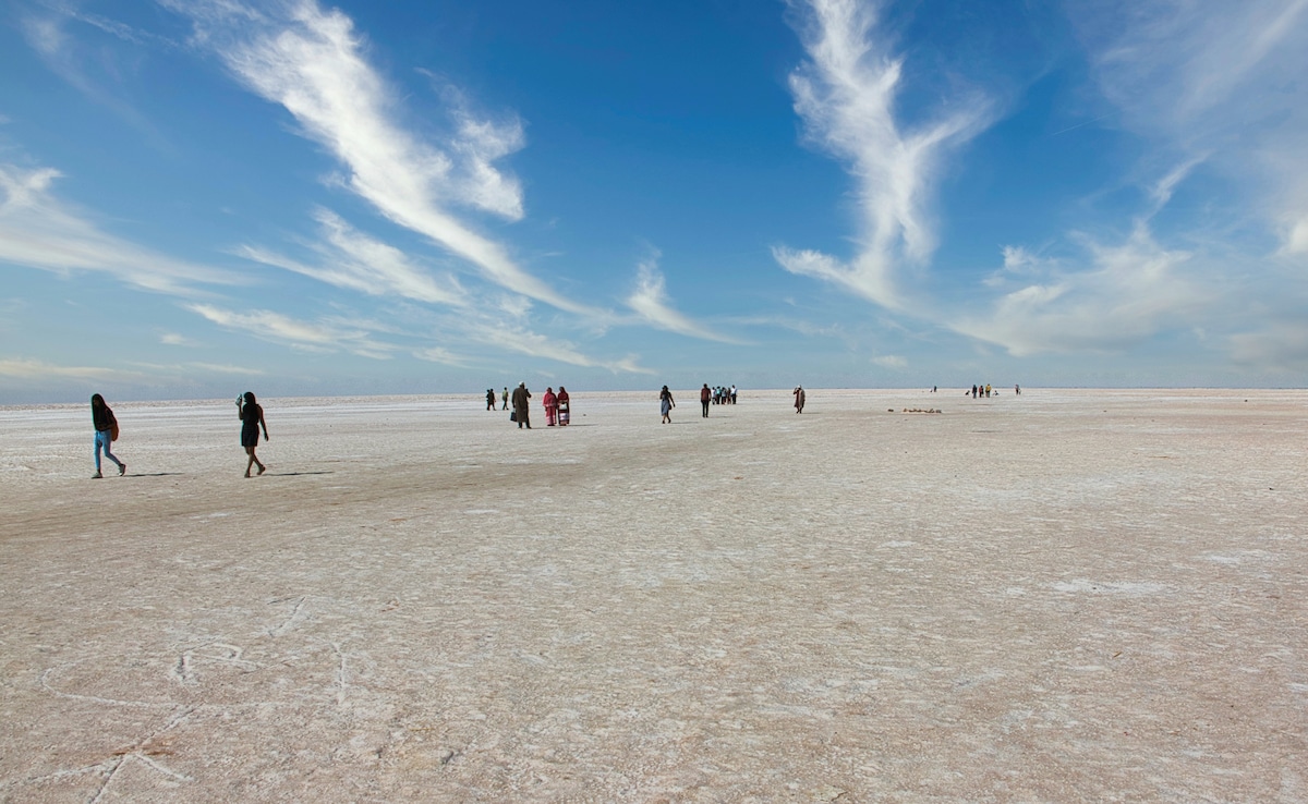 Latest and Breaking News on NDTV