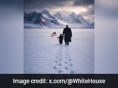 Trump Joins 'Penguin Meme' Trend With Cryptic Post On Greenland