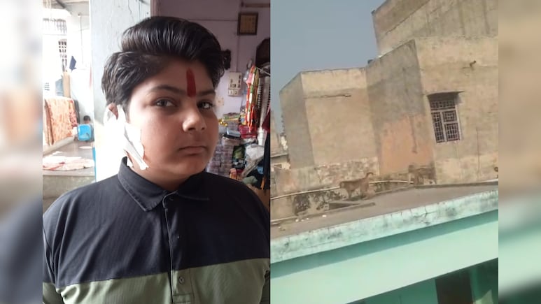 Rajasthan: अलवर में खूंखार बंदरों का आतंक, क्लास में घुसकर छात्र का कान काटा; बच्चों को स्कूल भेजने से डर रहे मां-बाप