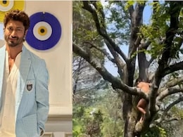 जिम नहीं, पहाड़ों की बर्फ और पेड़ों के बीच छिपा है Vidyut Jammwal की फिटनेस का राज, साल में एक बार करते हैं ये खास काम