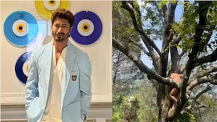 जिम नहीं, पहाड़ों की बर्फ और पेड़ों के बीच छिपा है Vidyut Jammwal की फिटनेस का राज, साल में एक बार करते हैं ये खास काम