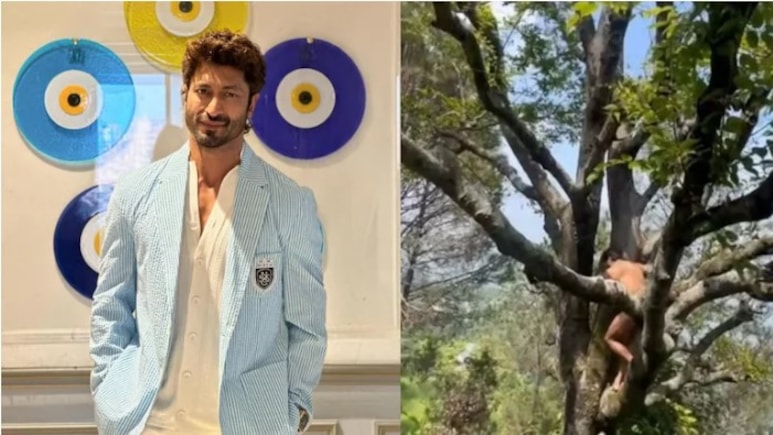 जिम नहीं, पहाड़ों की बर्फ और पेड़ों के बीच छिपा है Vidyut Jammwal की फिटनेस का राज, साल में एक बार करते हैं ये खास काम