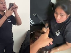 अर्बन कंपनी की थैरेपिस्ट का घर में घुसकर मारपीट का VIDEO वायरल, ऐसे शुरू हुआ था कस्टमर से झगड़ा