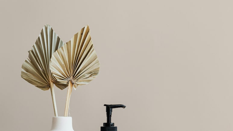 What Is Project Pan And How It Encourages Mindful Use Of Makeup