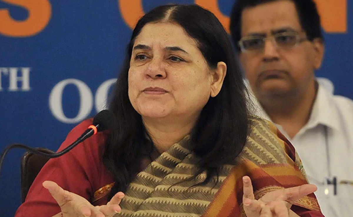 आवारा कुत्ता मामले में सुप्रीम कोर्ट ने मेनका गांधी को सुनाया, वकील ने क्यों कर दिया कसाब का जिक्र