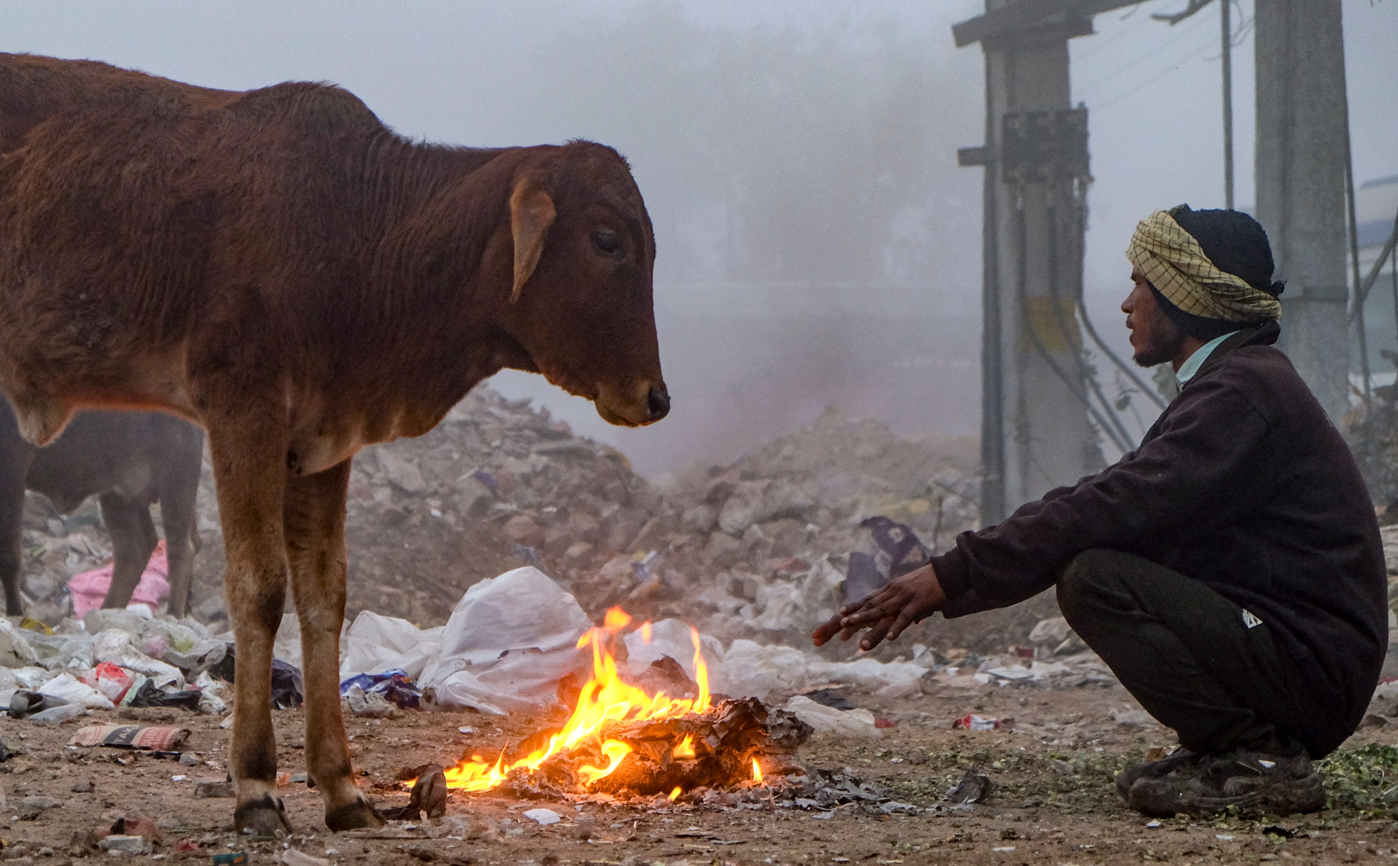 Latest and Breaking News on NDTV