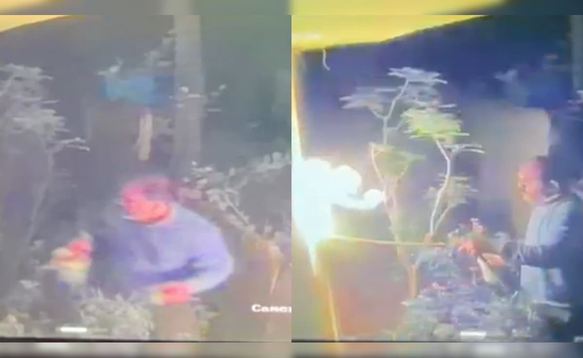 The Art of Baking: From Classic Bread to Artisan Pastries