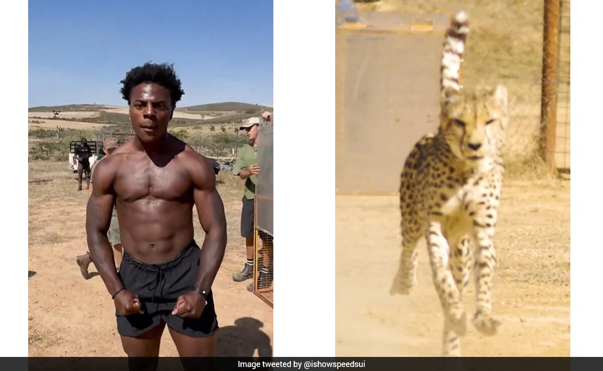 IShowSpeed Races Cheetah During Africa Tour, Internet Can't Believe It