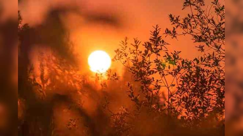 पहाड़ भी झुलसे: कश्मीर 10&deg;C ऊपर, हिमाचल में टूटा रिकॉर्ड, उत्तर भारत में भी गर्मी का अलर्ट