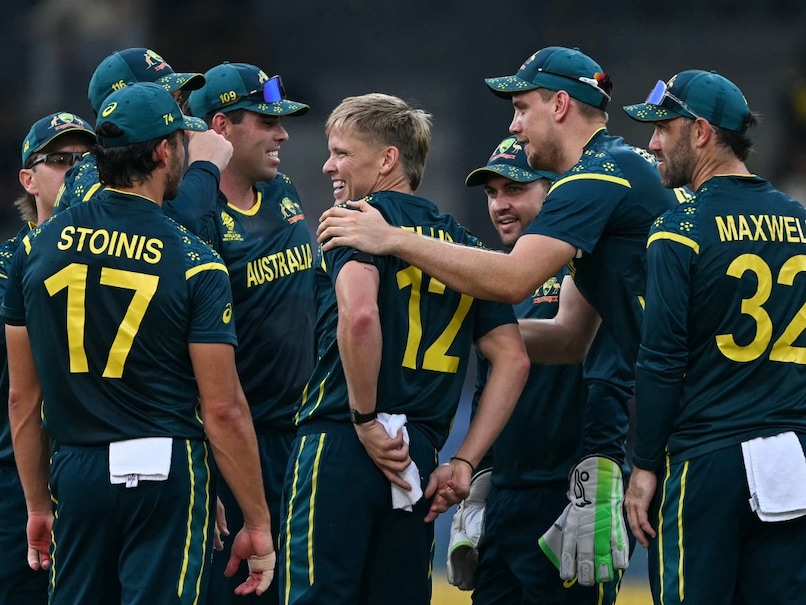 The Art of Baking: From Classic Bread to Artisan Pastries