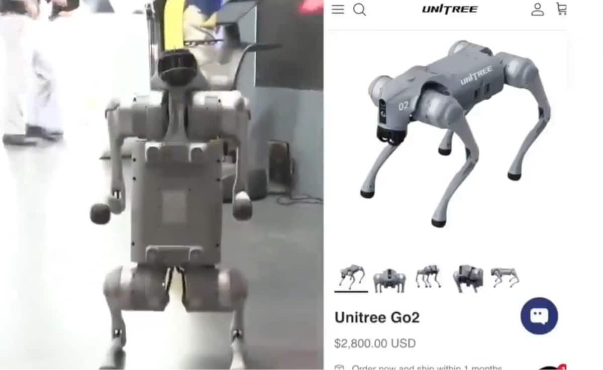 'These Robot Dogs Are Chinese, Not Indian': Galgotias Thrown Out Of AI Summit
