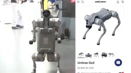 'These Robot Dogs Are Chinese, Not Indian': Galgotias Thrown Out Of AI Summit