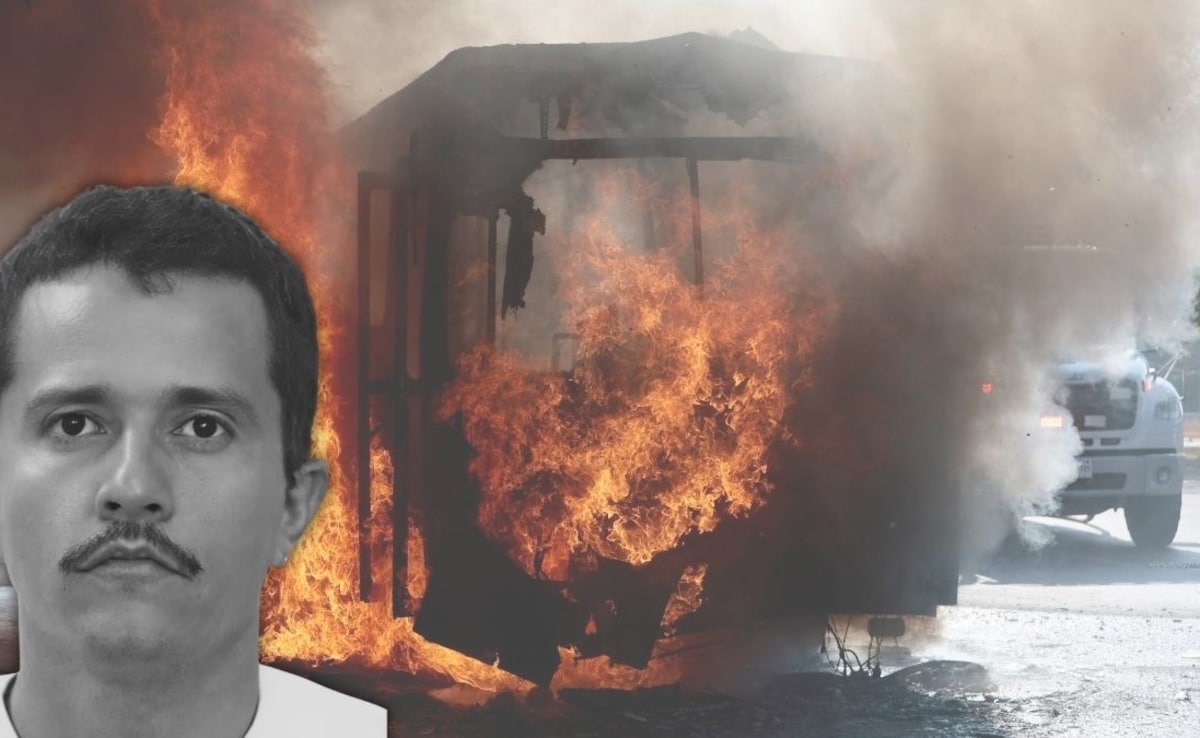 The Art of Baking: From Classic Bread to Artisan Pastries