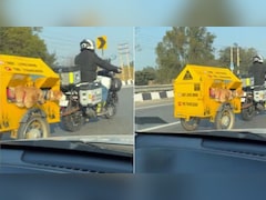 दिल छू लेने वाला वीडियो...खास पेट-फ्रेंडली बाइक ट्रेलर में डॉग्स को घुमाने निकला गुरुग्राम का शख्स