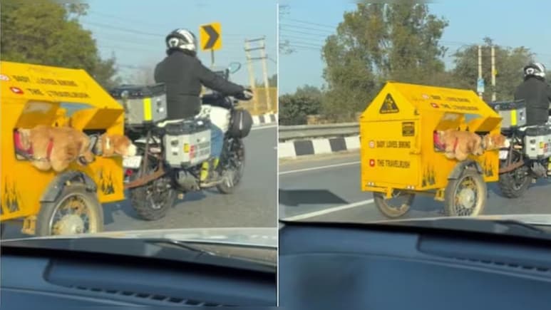 दिल छू लेने वाला वीडियो...खास पेट-फ्रेंडली बाइक ट्रेलर में डॉग्स को घुमाने निकला गुरुग्राम का शख्स