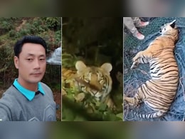 Tiger Found Dead With Gunshot Wound After Arunachal Cop Mauled To Death