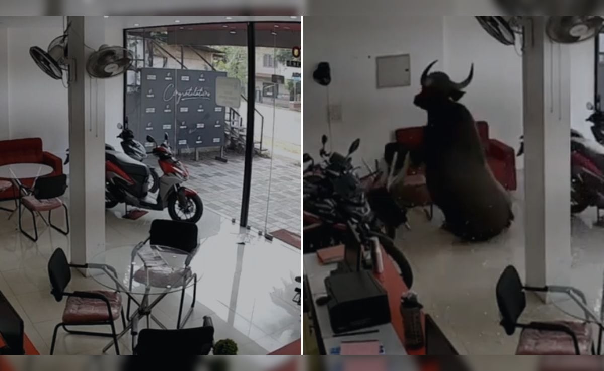 CCTV Video Shows Moment Wild Buffalo Crashed Into Bike Showroom In Kerala