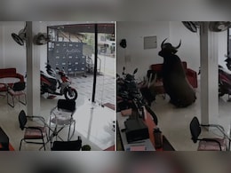 CCTV Video Shows Moment Wild Buffalo Crashed Into Bike Showroom In Kerala