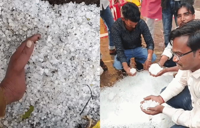 Hailstorm VIDEO: एमपी में फिर गिरे ओले, किसानों की फसलें हुई बर्बाद; जानें क्यों अचानक बदला मौसम&nbsp;