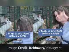 भारत, फ्रांस से भी आगे है... विदेशी महिला बोली- यहां की 3 चीजें दुनिया में कहीं नहीं! पोस्ट वायरल