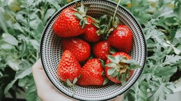 8 Things Only Real Strawberry Lovers Can Relate To