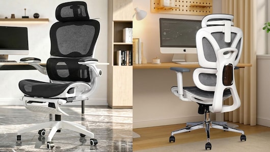 Ergonomic Study Chair: घंटों पढ़ने वाले बच्चों के लिए खरीदें आरामदायक स्टडी चेयर्स, सही पोस्चर भी करेगा मेंटेन