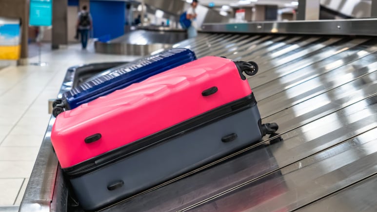 Passenger Gets Rs 1.19 Lakh Compensation After Airline Misplaces Bag With Sacred Items: Report